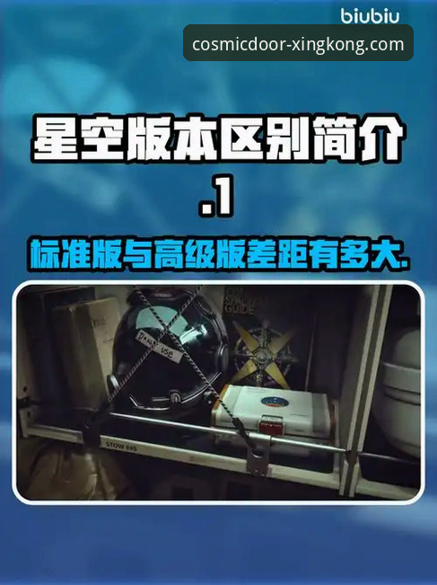 星空入口好用吗使用指南 星空入口平台:官方版 vs 第三方渠道,哪个更值得信赖?一份超详细使用指南